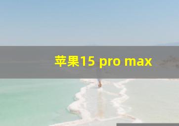 苹果15 pro max